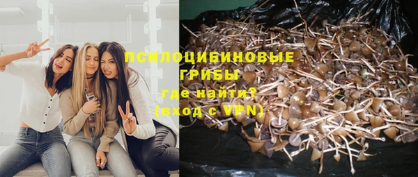 эйфоретик Алексин