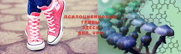 мяу мяу мука Алзамай