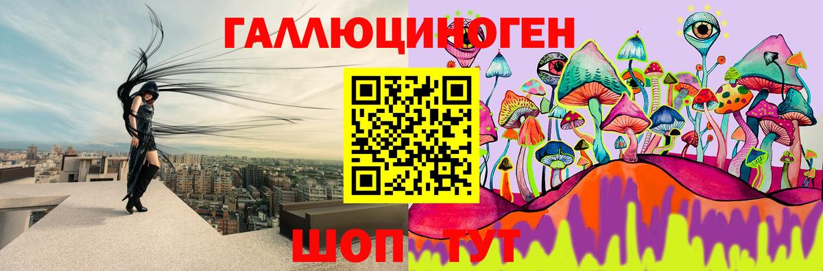 Фролово  Псилоцибиновые грибы прущие грибы  Вход с VPN 
